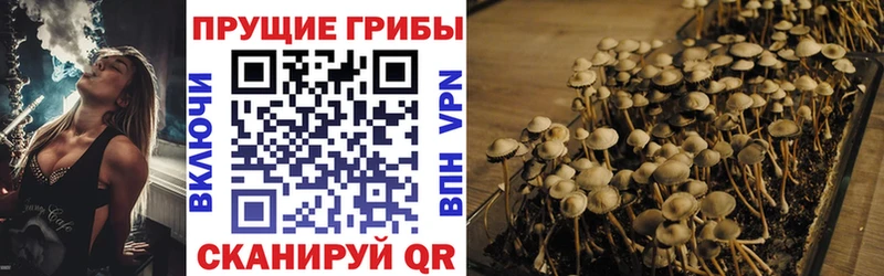 купить  сайты  Кумертау  Галлюциногенные грибы мухоморы 